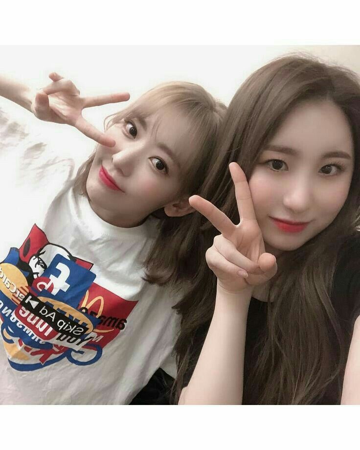 아이즈원 프로듀스48 사진 모음 아이즈원 프로듀스48 사진 모음