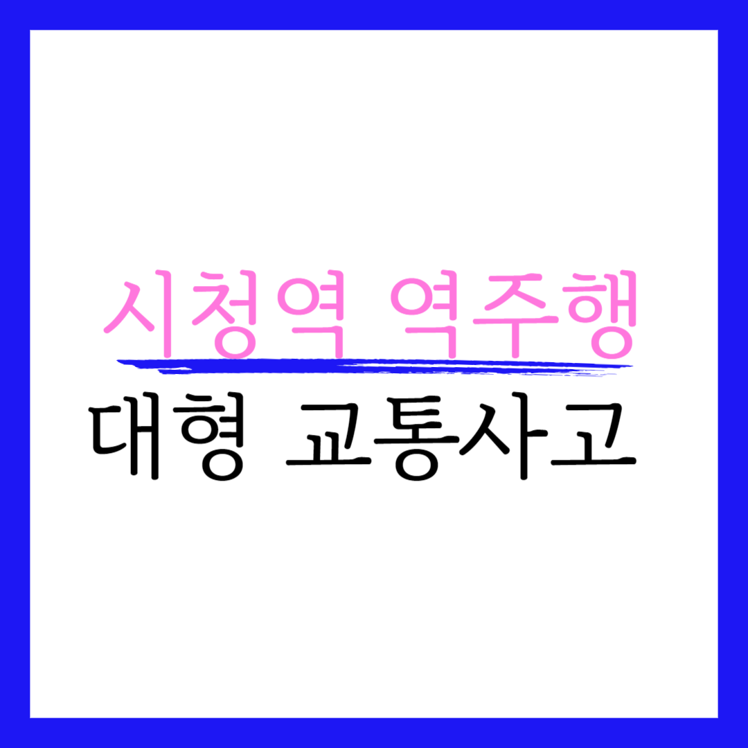 시청역 사고 현장 사망자 동승자 블랙박스 원본