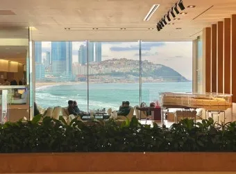 부산 웨스틴조선호텔 실제 투숙 솔직한 후기와 예약 팁_6