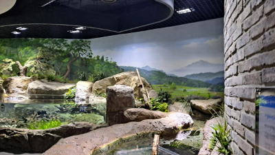 단풍명소_화담숲_자연생태관