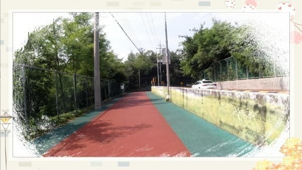 북악스카이웨이 산책로 완벽 가이드: 초보자도 쉽게 따라하는 코스