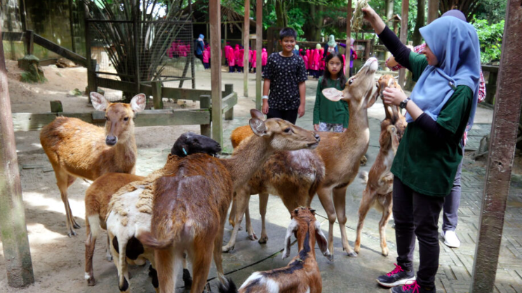 팜 인 더 시티 지도