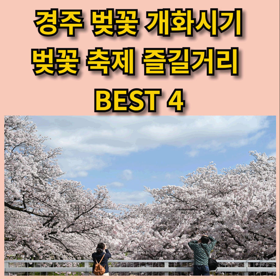 경주 벚꽃 개화 시기 와 경주 벚꽃축제 즐길거리 Best 4!