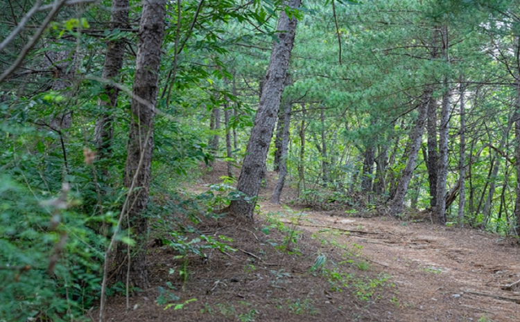불곡산 등산코스