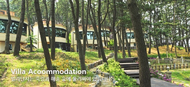 죽도 상화원 홈페이지