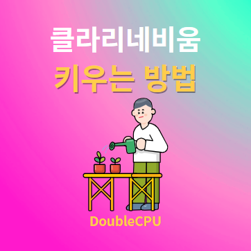 클라리네비움 키우기 물주기