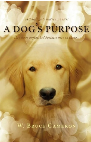 영화 "베일리어게인"포스터 사진