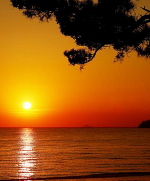 태안-풀빌라-펜션