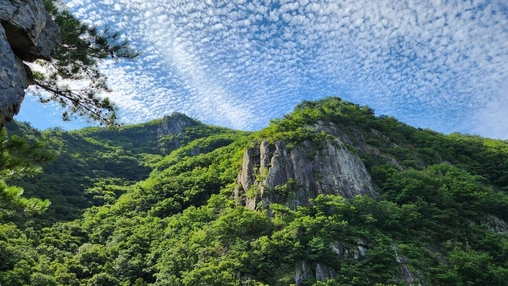 운문산 풍경