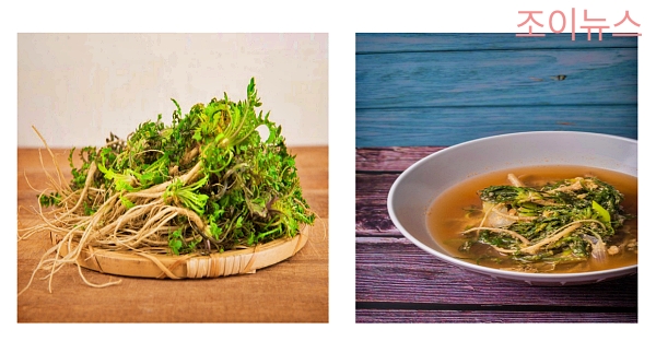 냉이의 특징과 섭취방법