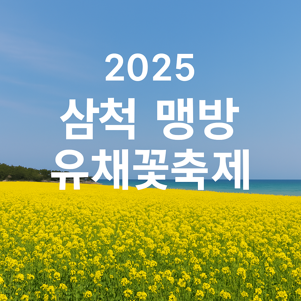2025 삼척 맹방 유채꽃 축제