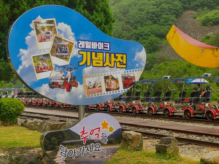 정선31