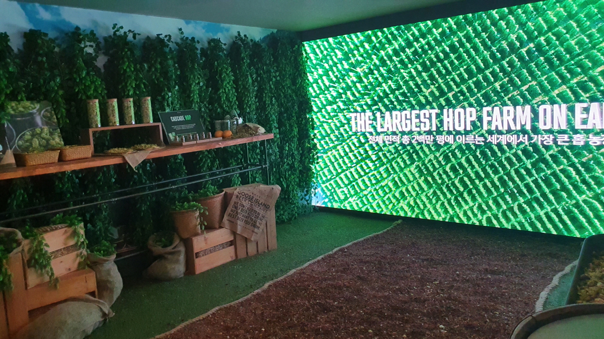 구스아일랜드-18