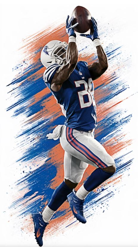 NFL 사진출처 pixabay