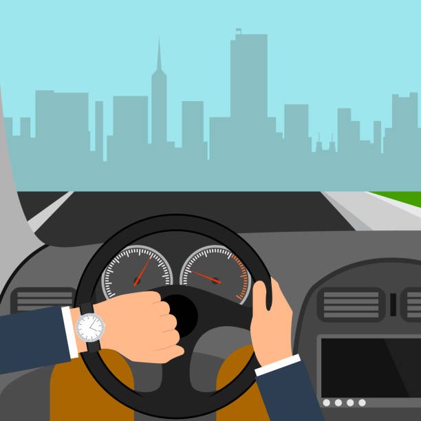 815-특사-확인-방법