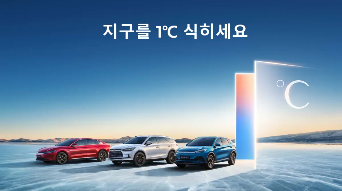 BYD 주가 차트 및 전망