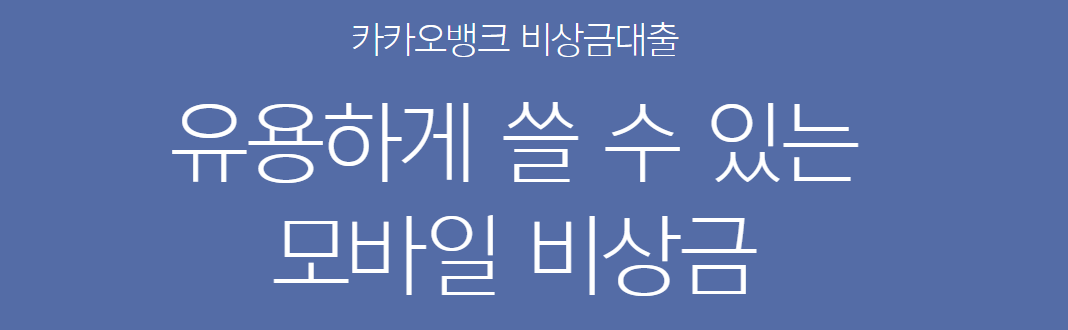 비상금 대출