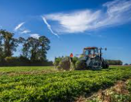 농민수당 신청 자격 및 신청 방법
