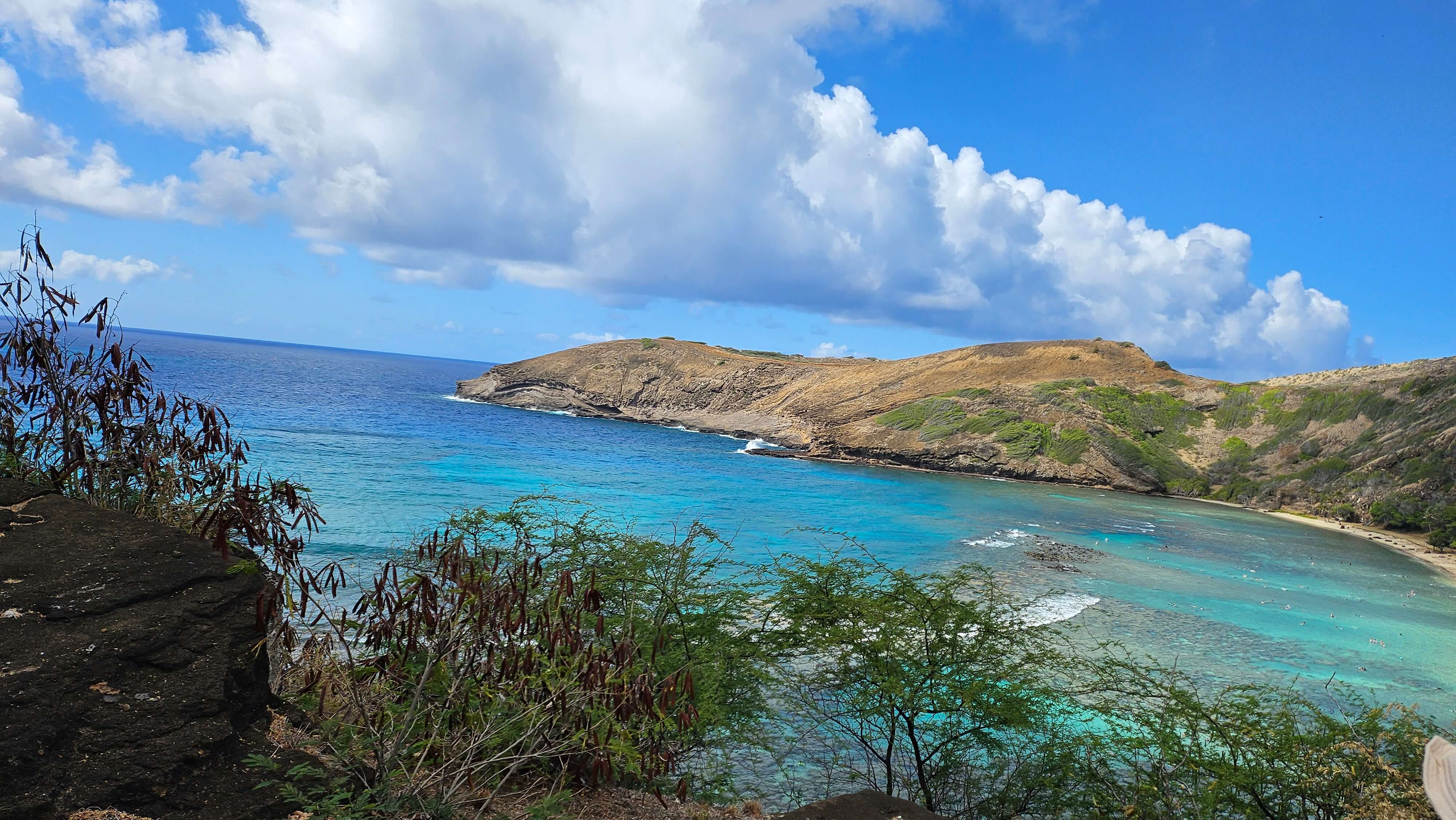 하나우마베이 예약팁
