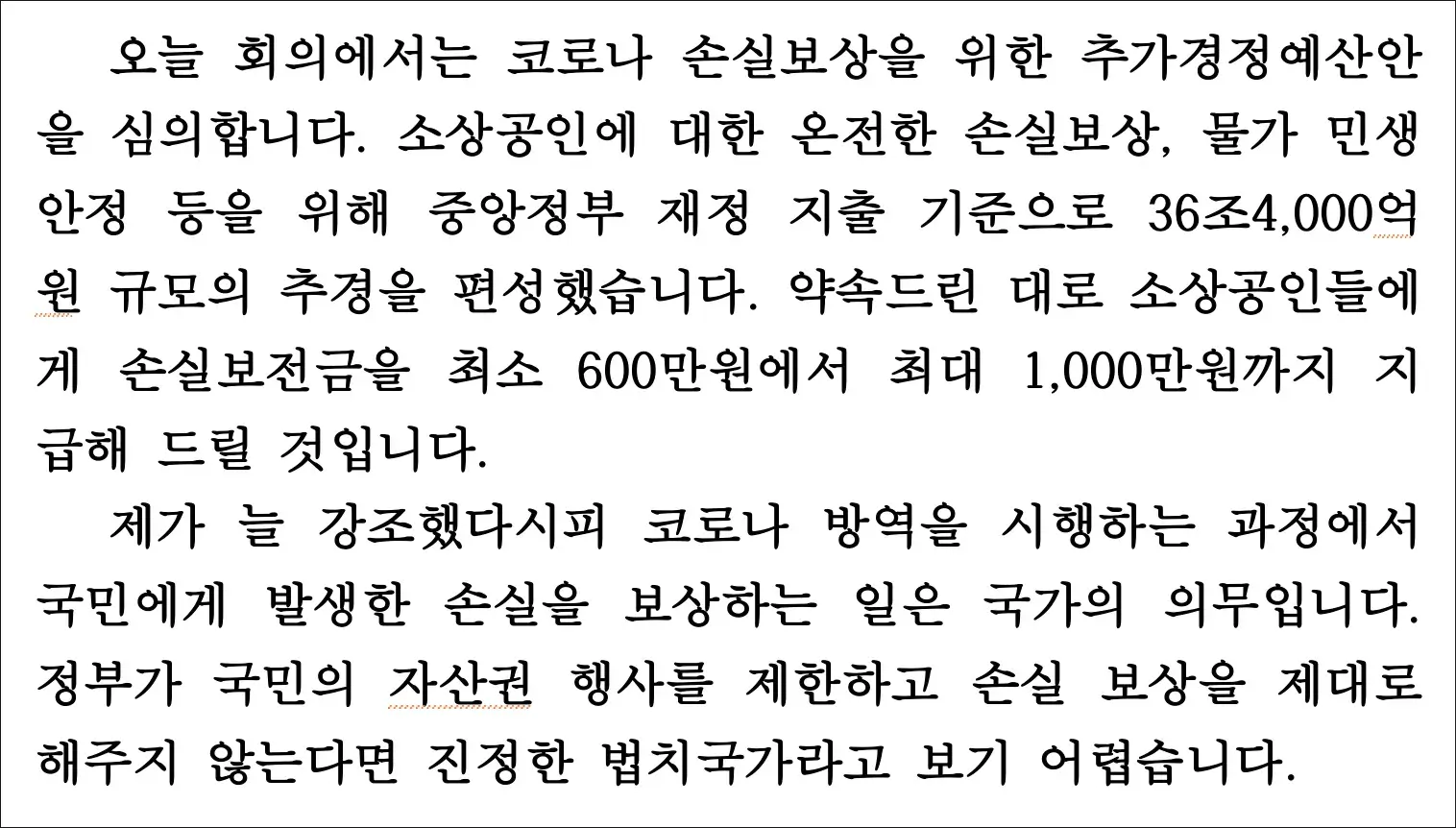 윤석열 소상공인 지원금 언급