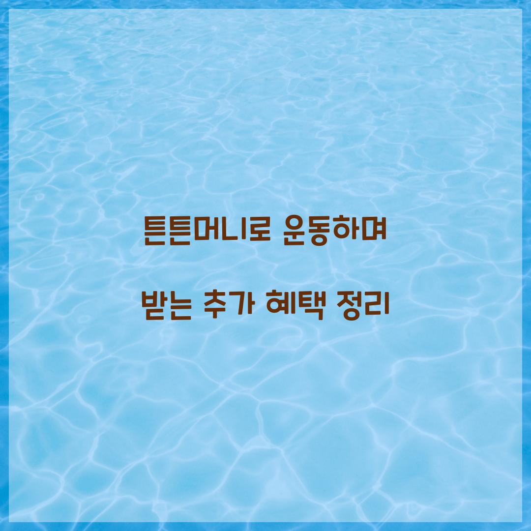 튼튼머니