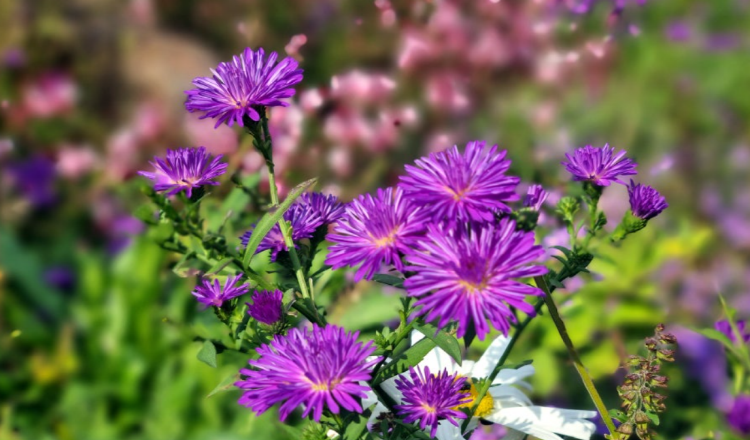 파주 율곡수목원