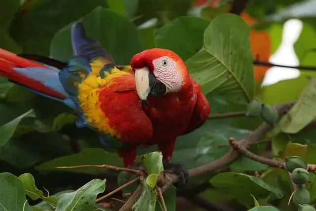 영상정보관리사 자격증 대우