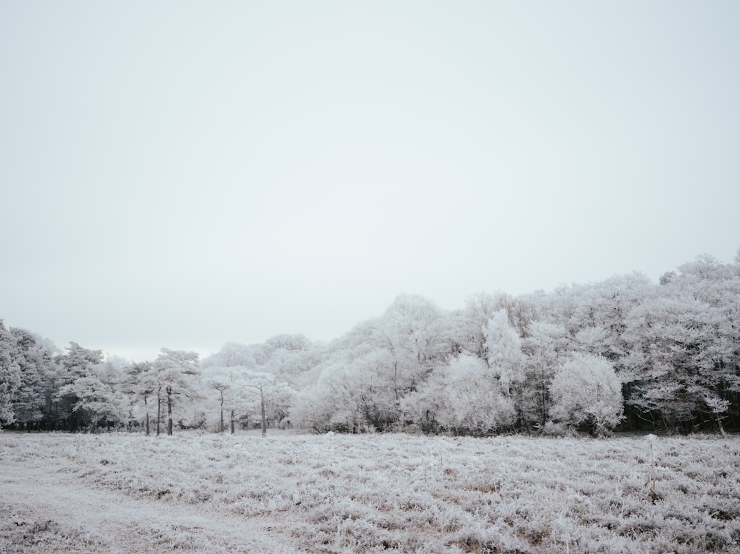 Seasonal