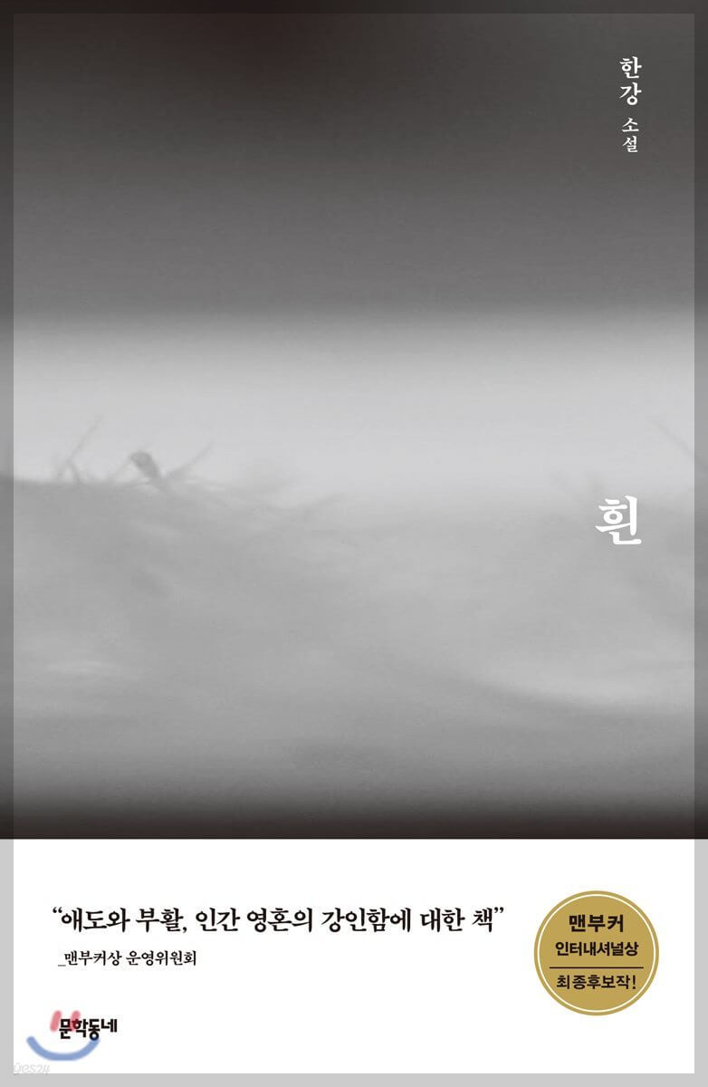 노벨문학상 한강 작가 : 그녀의 작품과 문학 세계