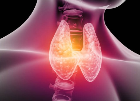 갑상선기능항진증 증상, 원인, 치료 총정리