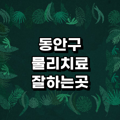 안양 동안구 정형외과