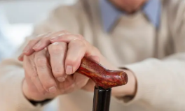 노인일자리 신청