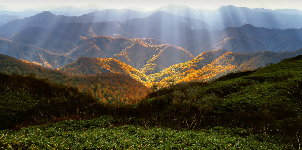 11월 국내 여행지 추천