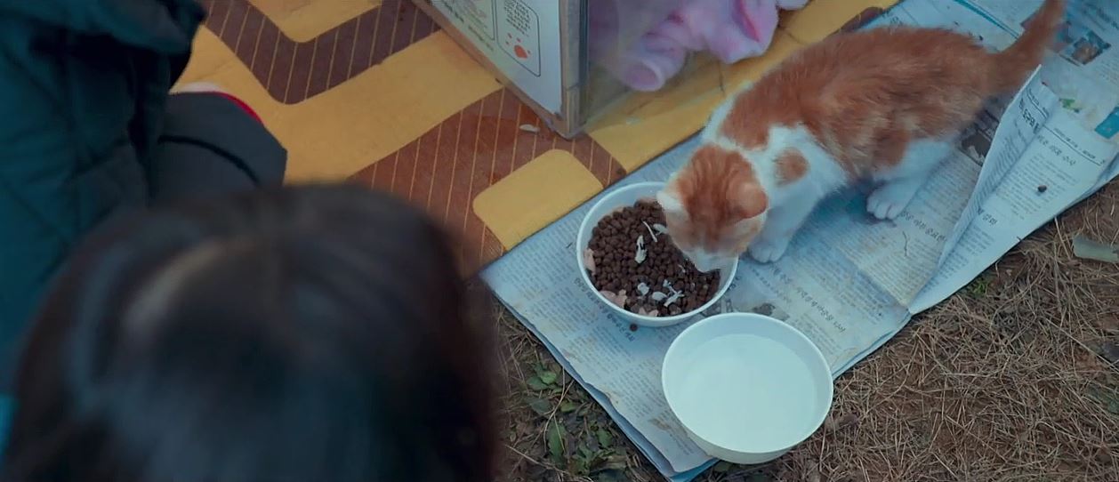 소방서옆경찰서그리고국과수_4회