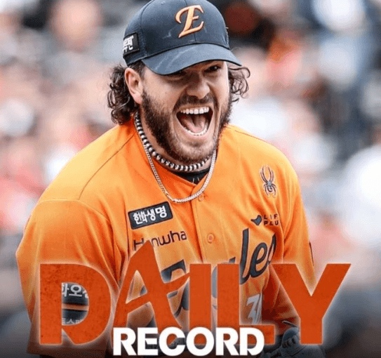 입문자를 위한 2025 KBO 순위 해설