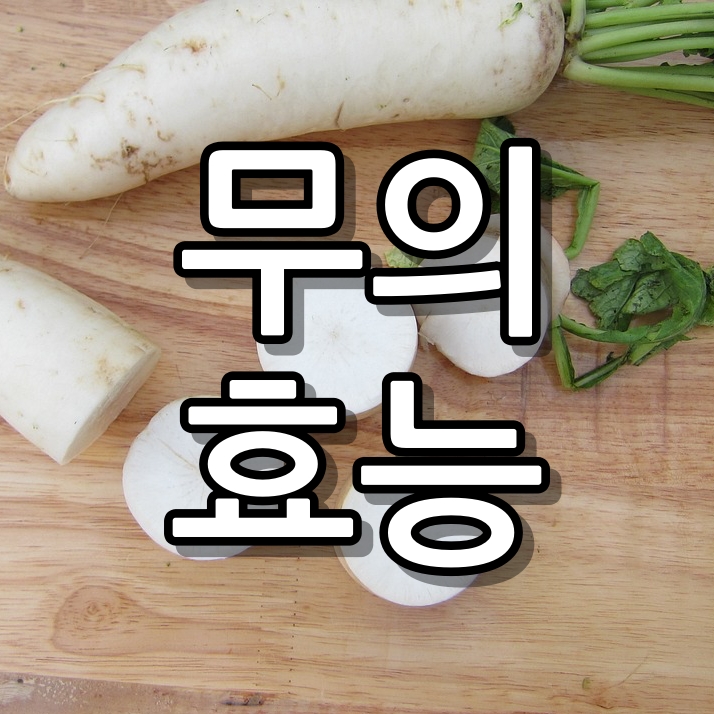 무의 효능 7가지 이렇게만 알면 보약 효과적으로 먹기