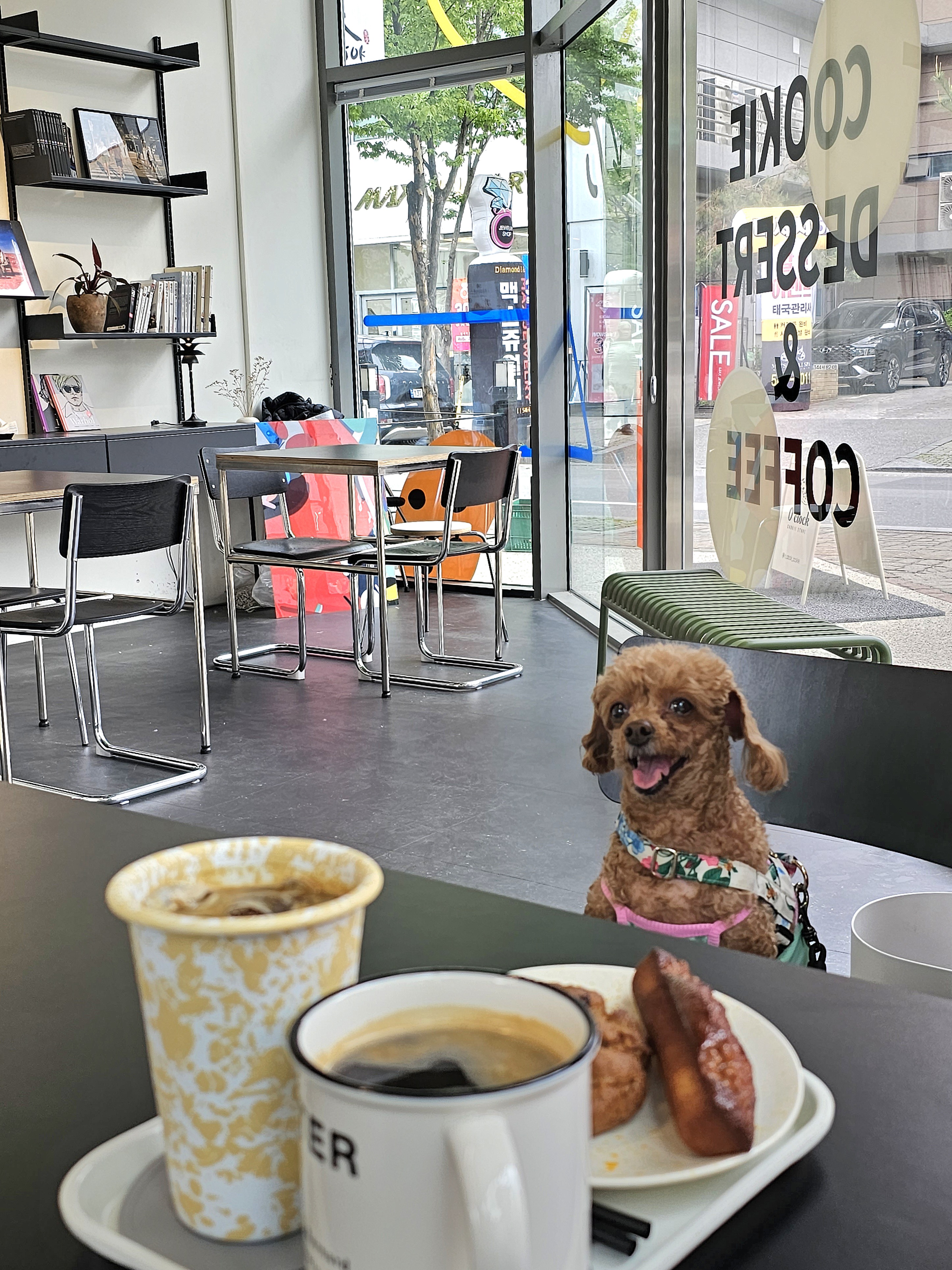 관저동 어클락 O'clock