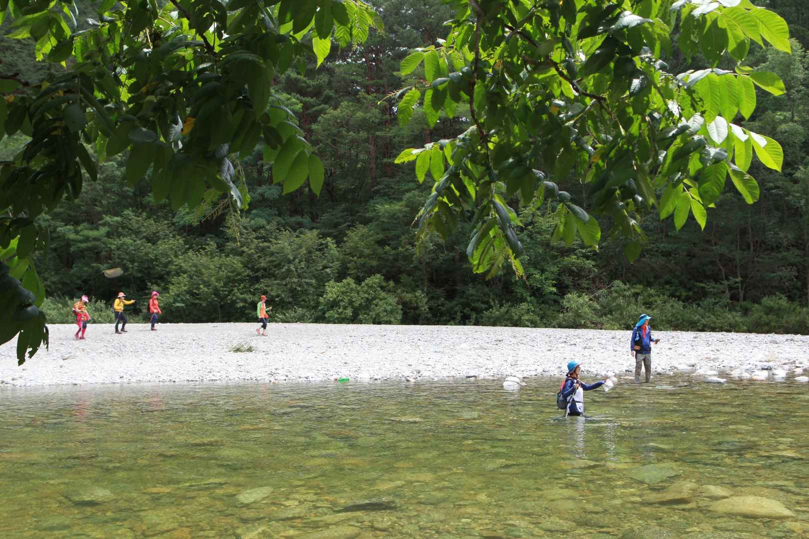 인제 아침가리골