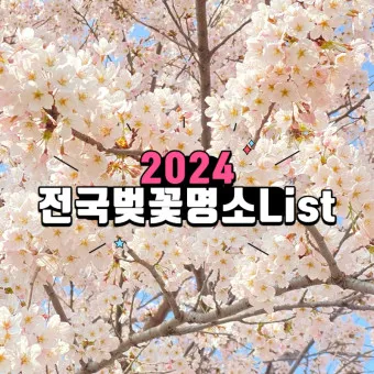 벚꽃 명소 추천 축제 유명한곳_16