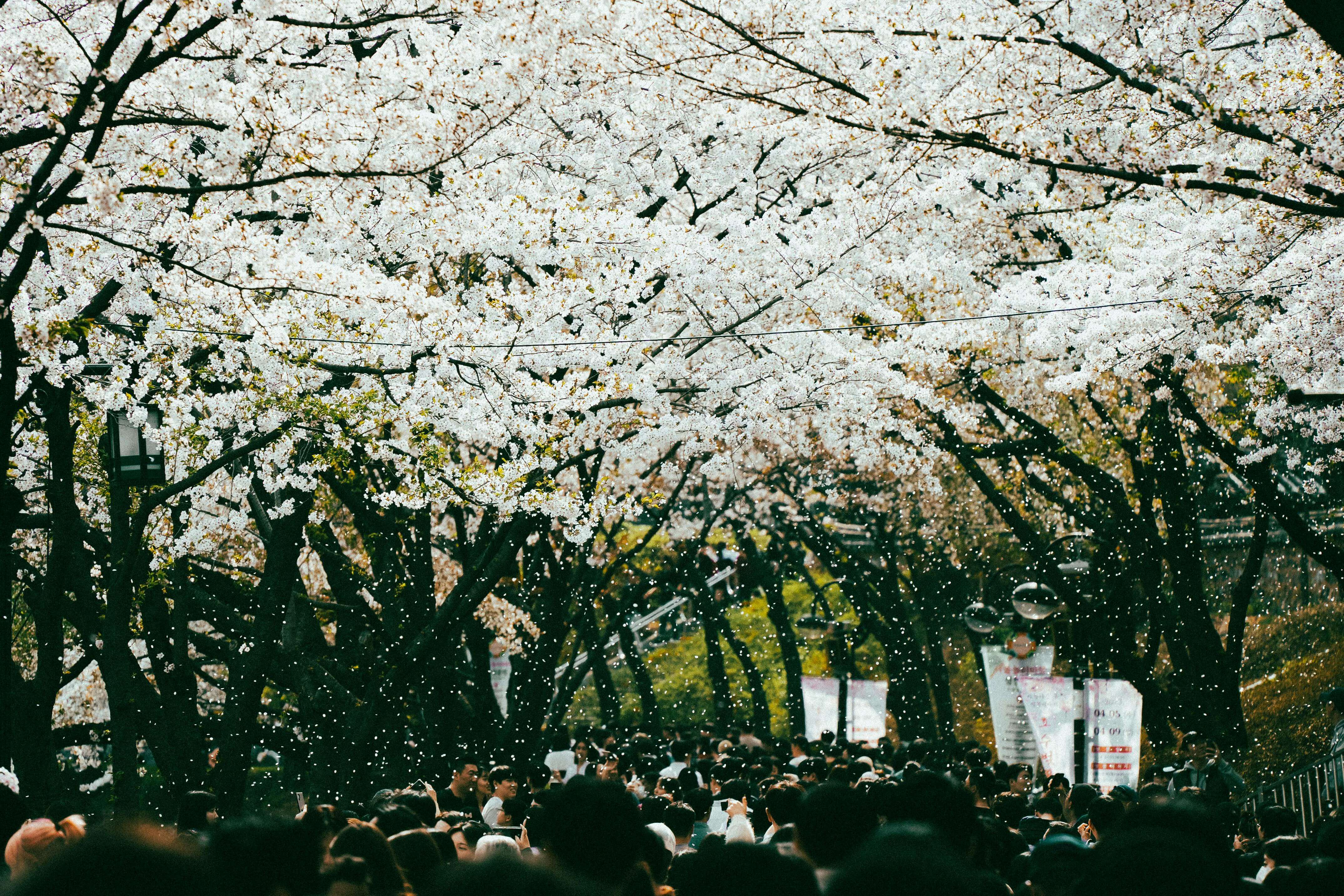 꽃길