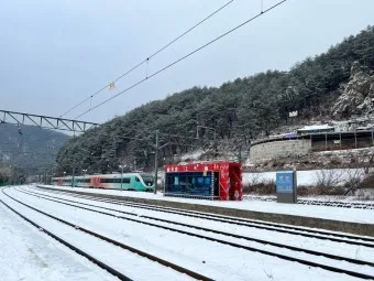 동해산타열차 시간표 예매가능한 날 가격_20