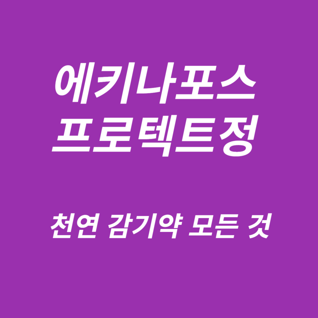 에키나포스 프로텍트정