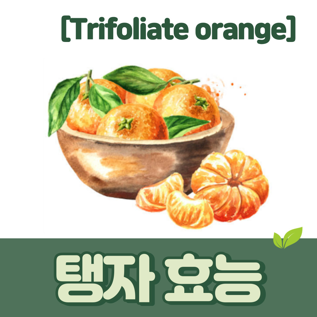 탱자