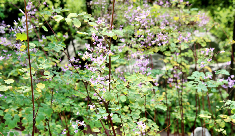 당진 삼선산수목원
