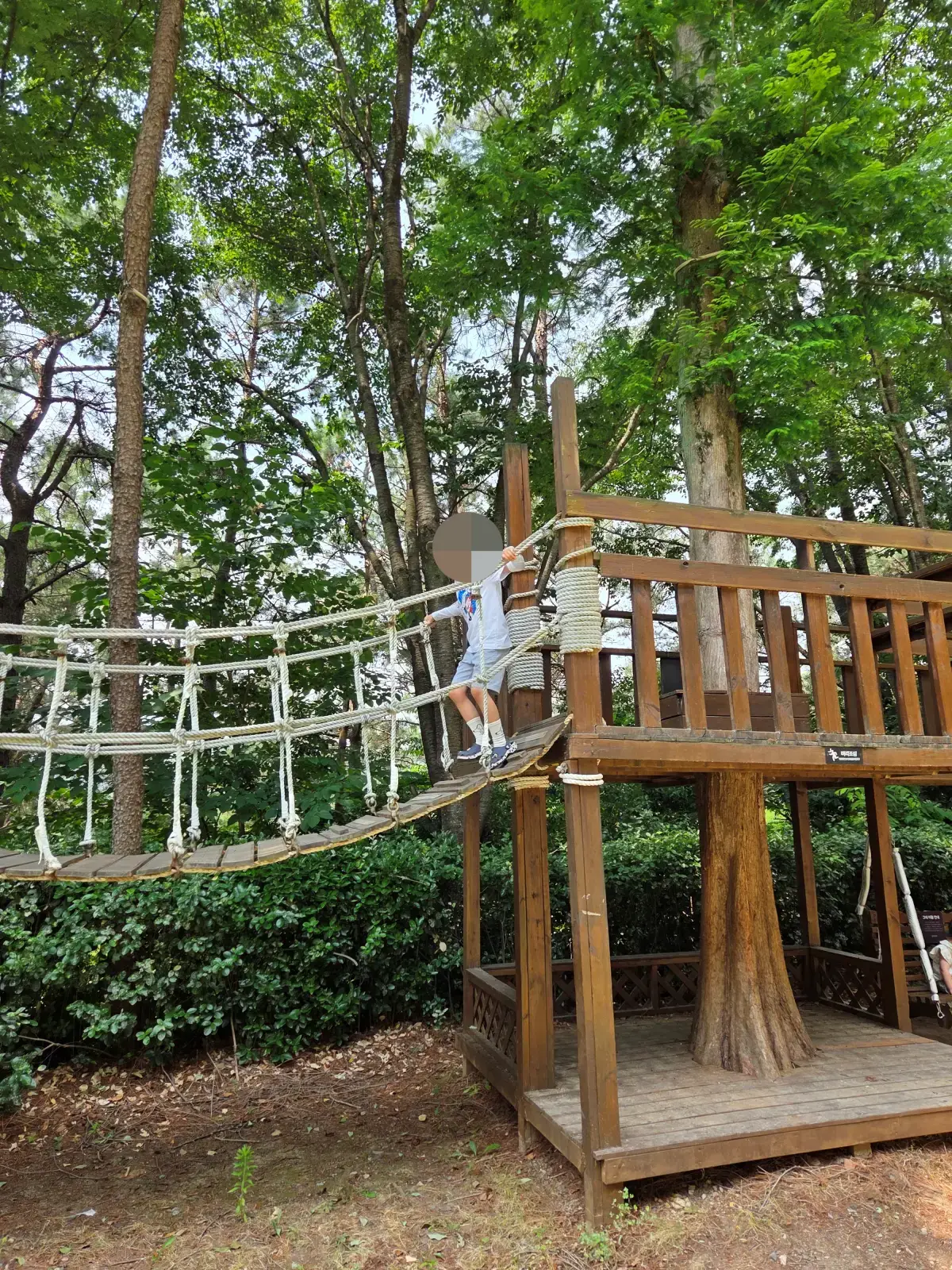 트리하우스 이미지 01