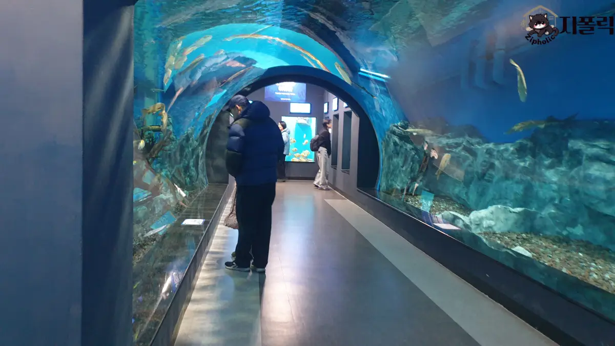 충북아쿠아리움-해저터널