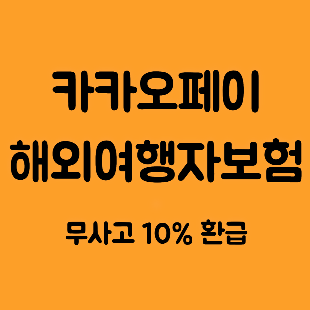 카카오페이 해외여행자보험