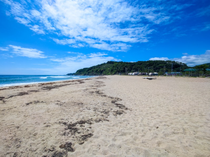 강원도 해수욕장 개장