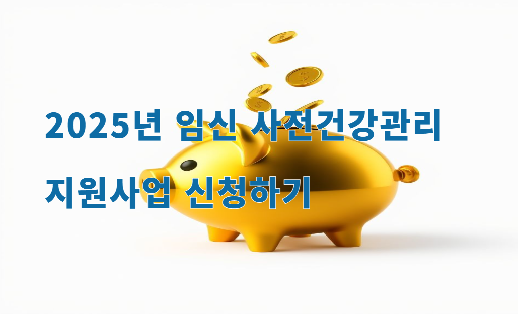 임신 사전건강검진 신청