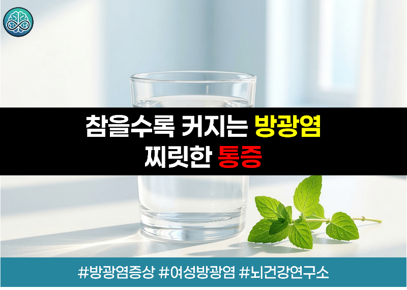 방광염 증상부터 예방까지 - 일상을 방해하는 '통증' 완벽 가이드